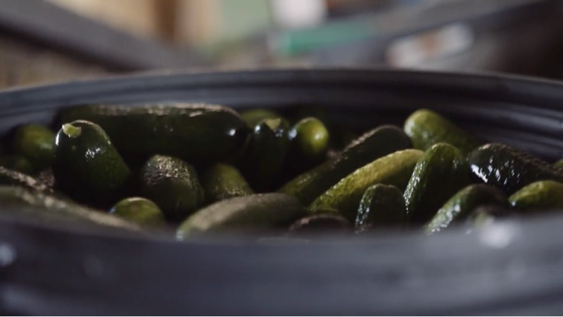 Tillverkning av Kinda Gurka